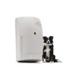 גלאי נפח פנימי מתעלם מחיות ריסקו